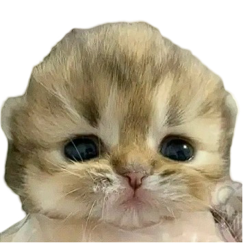 AlphaSkifter's Avatar